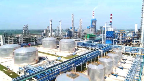 阜陽市潁東區(qū) 免申即享 讓惠企政策兌現(xiàn)更快捷