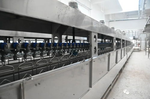 河北最大禽肉食品加工工廠即將投產(chǎn)相關(guān)資訊 邯鄲河北最大禽肉食品加工工廠即將投產(chǎn)相關(guān)資訊