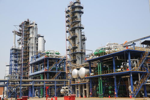 奮力在全省化工產(chǎn)業(yè)新舊動能轉(zhuǎn)換中率先突破