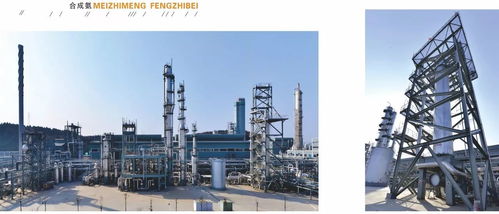 中國化工報(bào)聚焦四川美豐，一項(xiàng)關(guān)鍵工藝通過科技成果鑒定